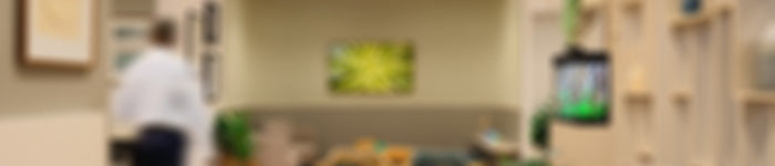 Blurred WSD interior with a person walking, furniture, and decor.